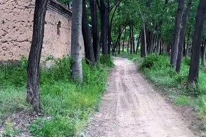 充满童趣的那些年（玩伴、游戏和回忆）