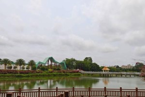 绿水青山，金山银山的奇妙之旅（一位农民的奋斗之路）