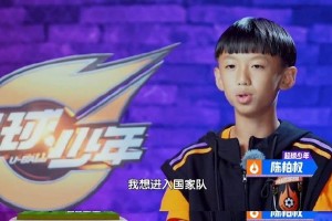 少年，以国为责（奋斗之路，璀璨人生）