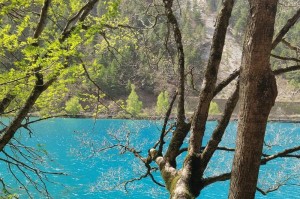 山水画里的故事（一段山中之旅）