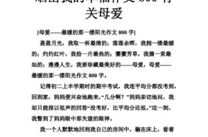 少年成名（我的风采）