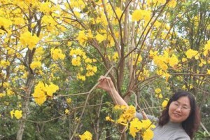 感谢春天的幸福之花（一只蝴蝶的故事）