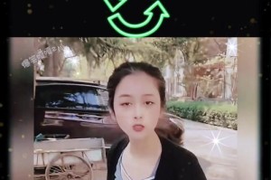 坚冰之笑（这个世界上最坚定美丽的微笑）
