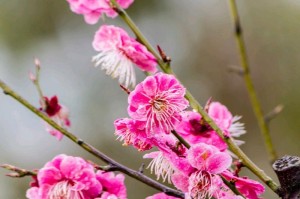 冬日阳光