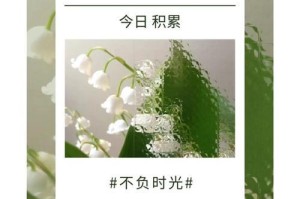 青春之梦永不放弃（唤醒心灵的励志言语）