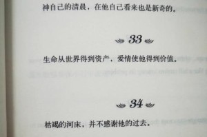 凌风之翼（一只少年与他的愿望蝶）