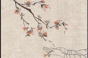 书卷中的故事（一本故事书的魔力）