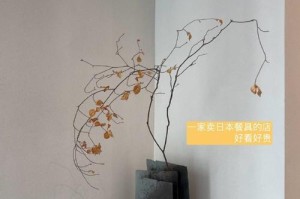 我的美好生活：追寻内心的幸福