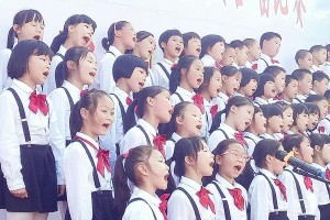 中华傲气（追寻梦想的少年）