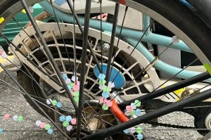 追逐自由（一段关于友谊和勇气的童年记忆）