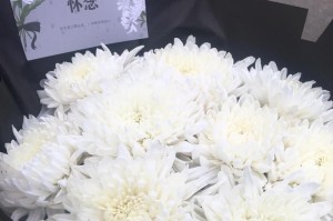 怀念亲人的痛苦与坚强（怀念亲人的痛苦与坚强）