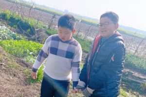 我的心田有春风吹过（探寻春之美好）