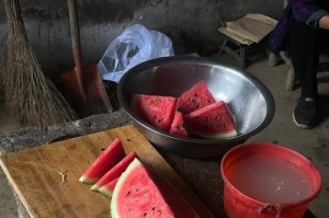 端午情缘：一次特殊的相遇