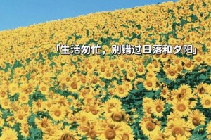 爱，温暖着我的心（一个普通人的感恩故事）