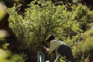 登上生命之巅：一次难忘的登山经历