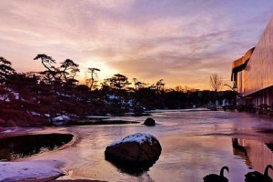 《窗外风景的奇遇》（我和窗外那一片风景）