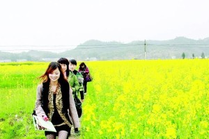 初春时节的邂逅（春天里的爱情故事）