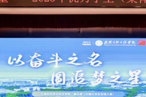 《担当》——拯救失落的神秘力量（一名勇敢的少年救出了被困在黑暗中的魔法精灵）