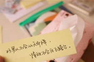 宽容的力量——一次意外的相遇