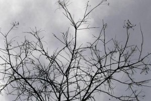幸福也是一种甘甜（家庭暖心故事）