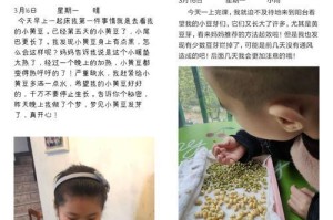 成长路上的点滴（挑战自我，追求自由）