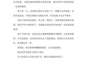 追逐梦想的奋斗者（一场不屈不挠的拼搏之旅）