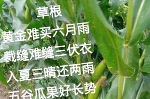 一个雨夜故事（以感恩下雨的冬天）
