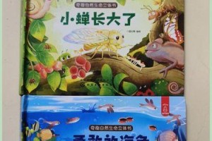 在大自然中寻找自我（在大自然中寻找自我）