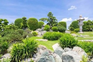 仙境探险——追寻神秘仙境的冒险之旅