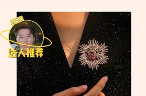 夺目之光