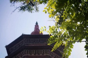 安阳文峰塔——尘封的回忆（一个故事，一段历史，一场追忆）