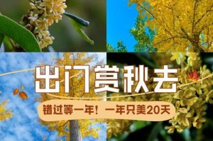 秋之爱——一个秋天的故事