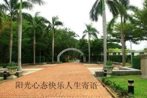 追求幸福与快乐（一个年轻人的人生之旅）