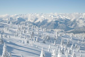 只见白雪皑皑（清晨的脚印、热茶和温暖的拥抱）