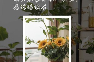 时光无情，珍惜当下（一位老人的故事）