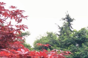 幸福的那个角落