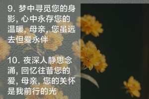 深深想念的母亲（一个人在异乡的惆怅）