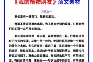 我的植物朋友：与花草树木的温馨相伴