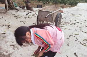 温暖的捡拾（一段无声的爱心旅程）
