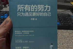 最好的努力，成功就在眼前（一个故事讲述如何用尽全力追求成功）