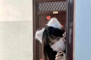追梦之路（追梦之路）