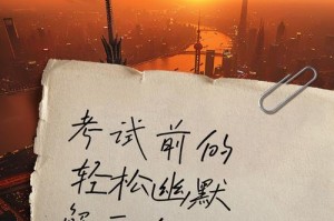 一场考试的经历（小学生的挑战）
