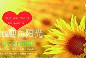 阳光的温暖，照亮人生路（一束光，让人生焕发新生）
