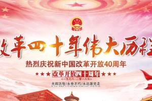 一生努力，一世传奇（一生努力，一世传奇）