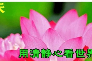 音乐酒吧里的故事（音乐酒吧里的故事）