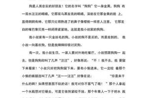 狗的忠诚与感恩（一只流浪狗的故事）