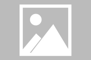 教师李伟（他的努力、执着和爱心点亮了许多学生的人生）
