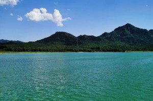 在近处，遇见最美风景（探索生活中的意外惊喜）