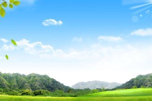 寻找春天的冒险：追逐阳光的旅程