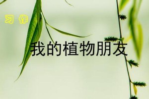 小学生和植物的友谊——我的植物小伙伴